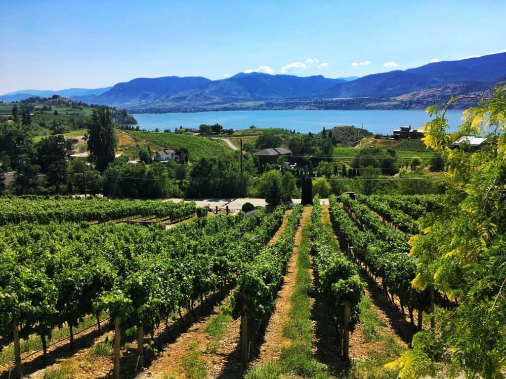 Things to do in Kelowna: Okanagan winery
