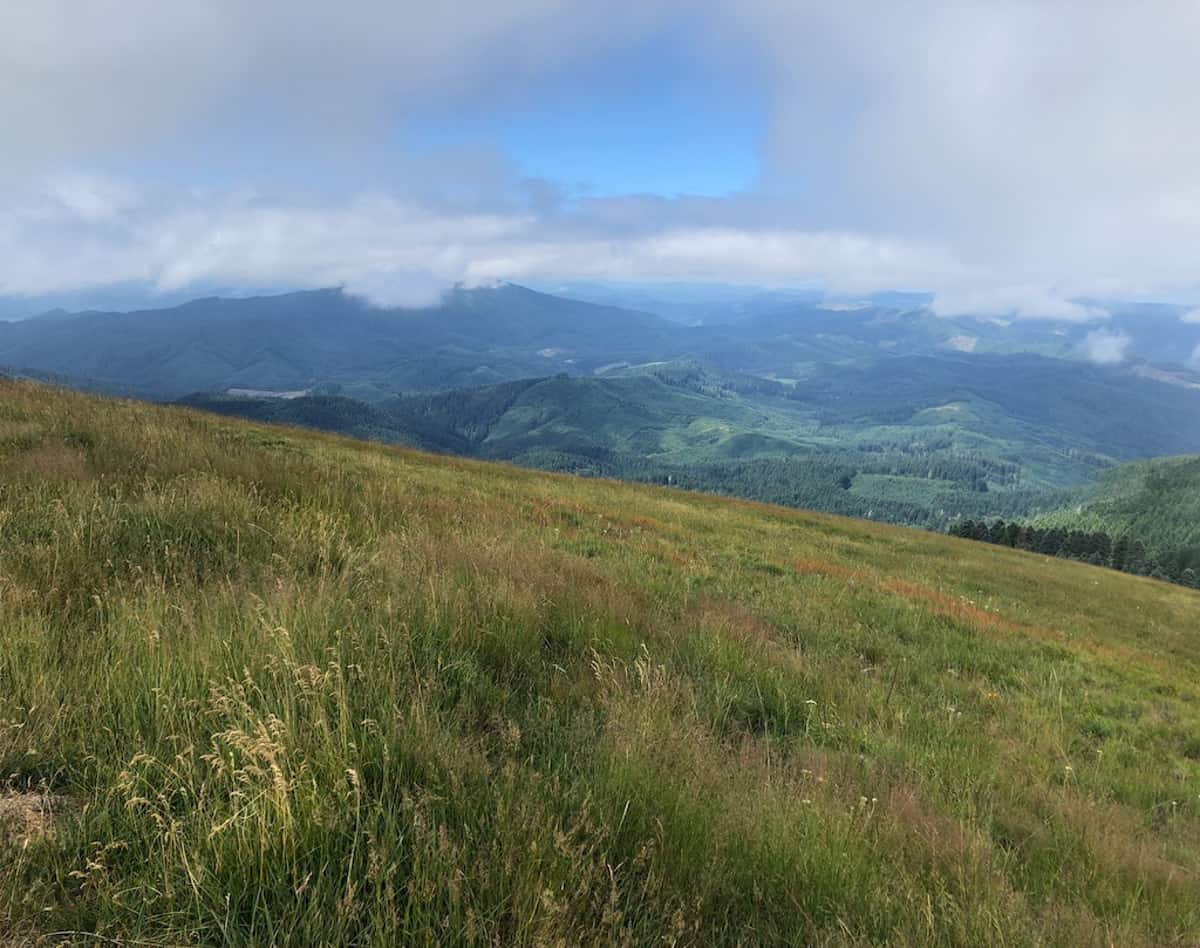 Mary's Peak Oregon
