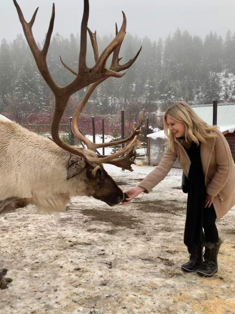 Woman feeding a reindeer at Leavenworth, WA in the winter