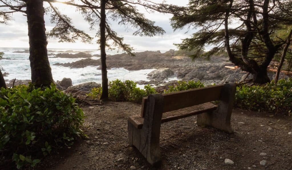Tofino Weekend Getaways from Vancouver