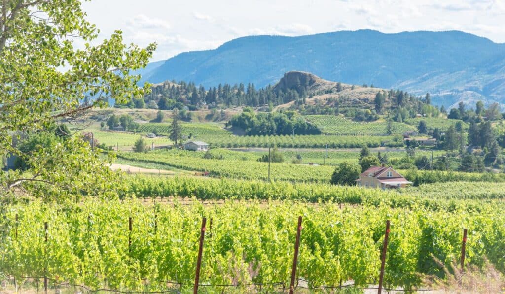 Naramata Bench wineries