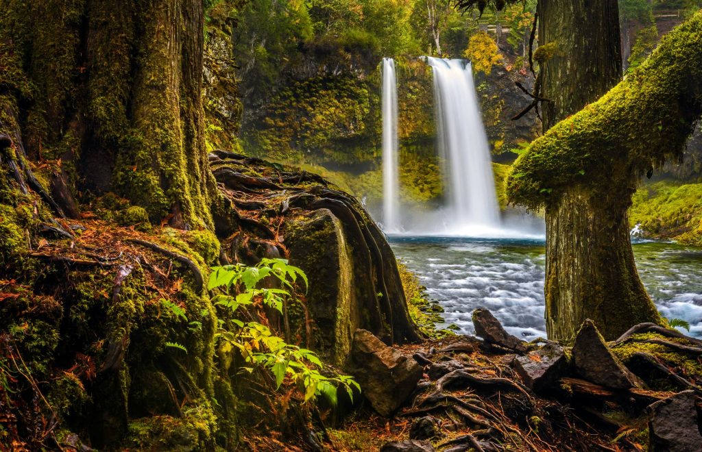 Koosah Falls