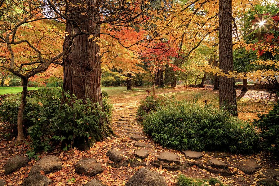 Lithia Park