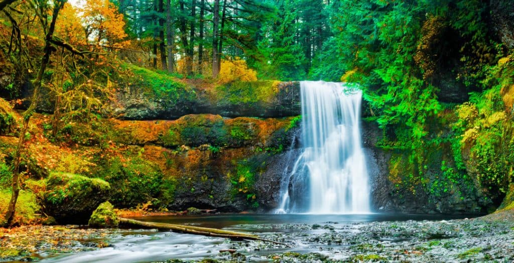 Silver Falls Scenic Byway