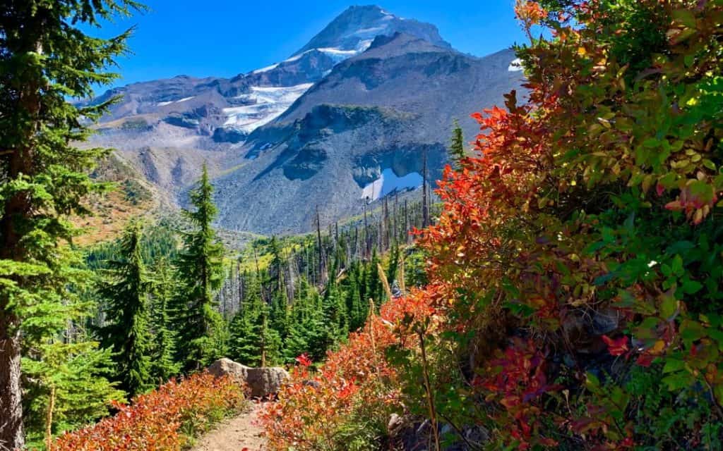 Timberline Trail