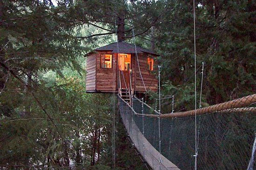 Out'n'About Treehouse Treesort