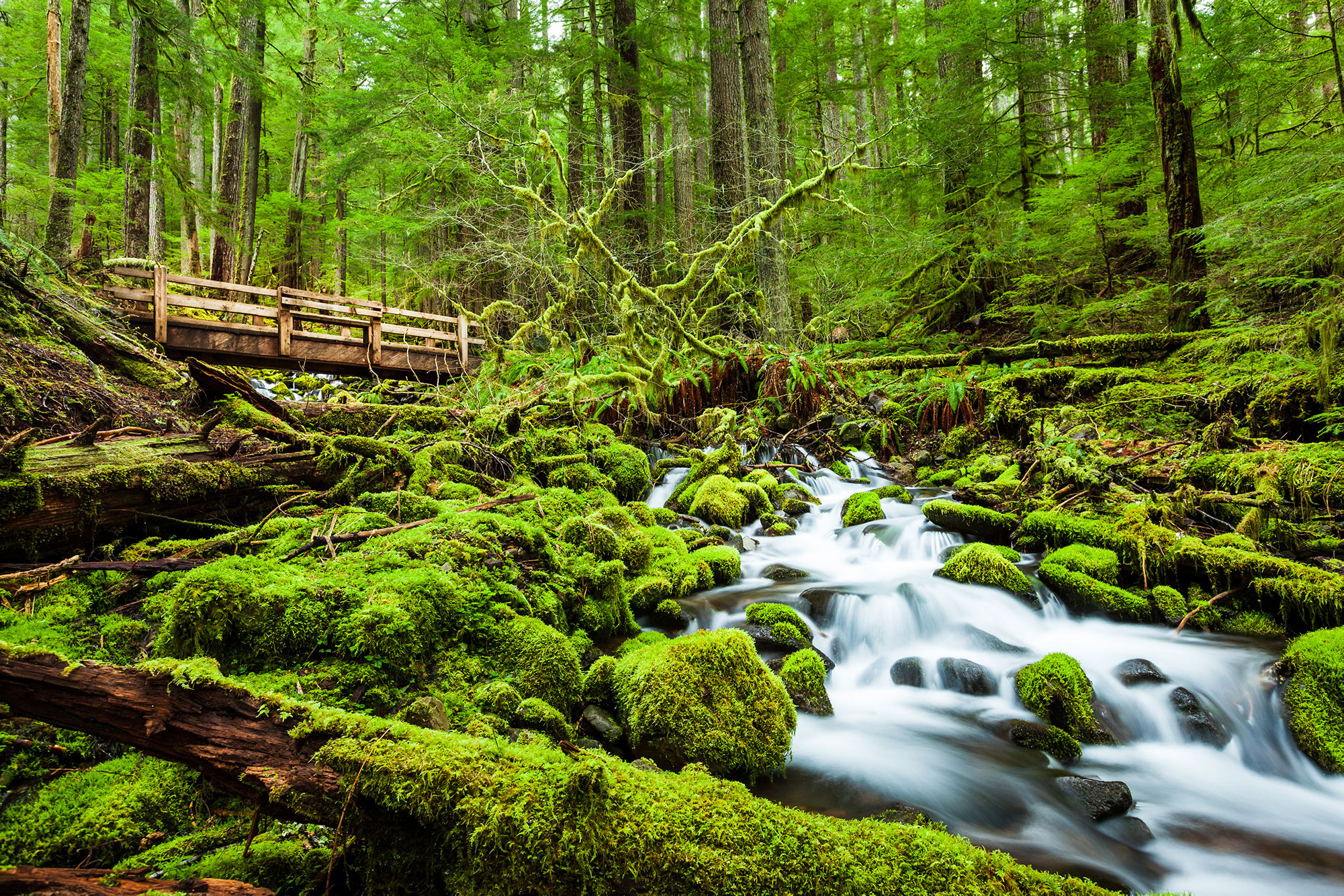 Olympic National Park Itinerary