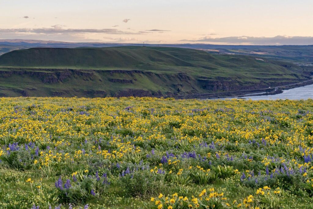 Columbia River Gorge