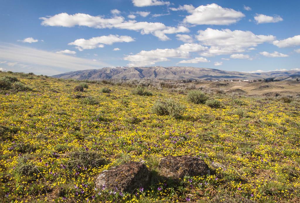 Yakima River Canyon