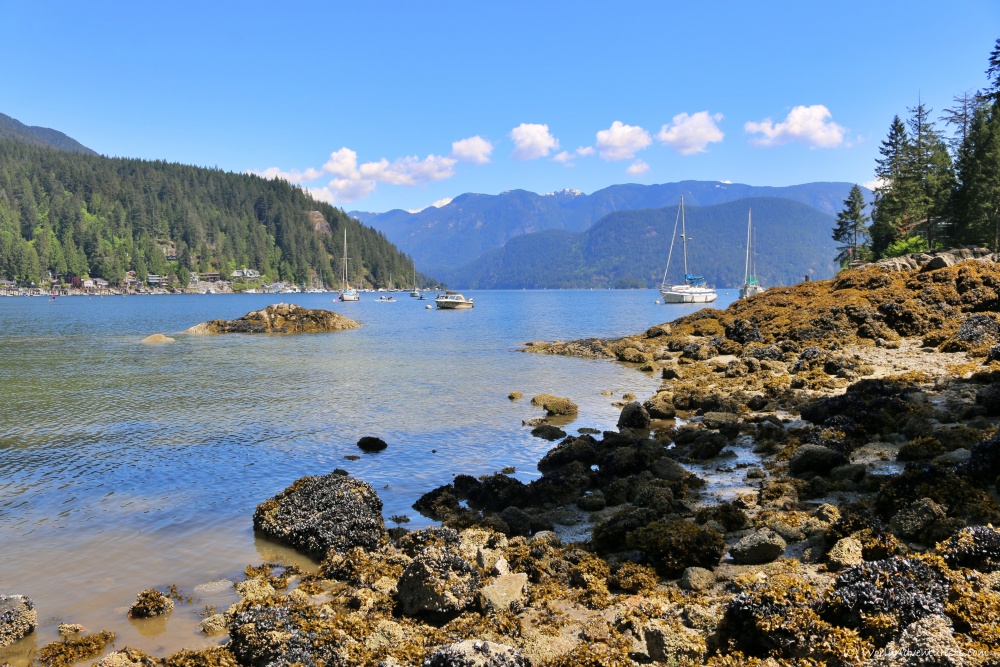 Deep Cove