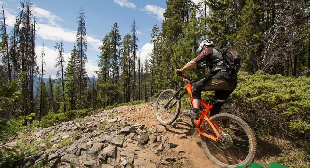 Local Trail Networks