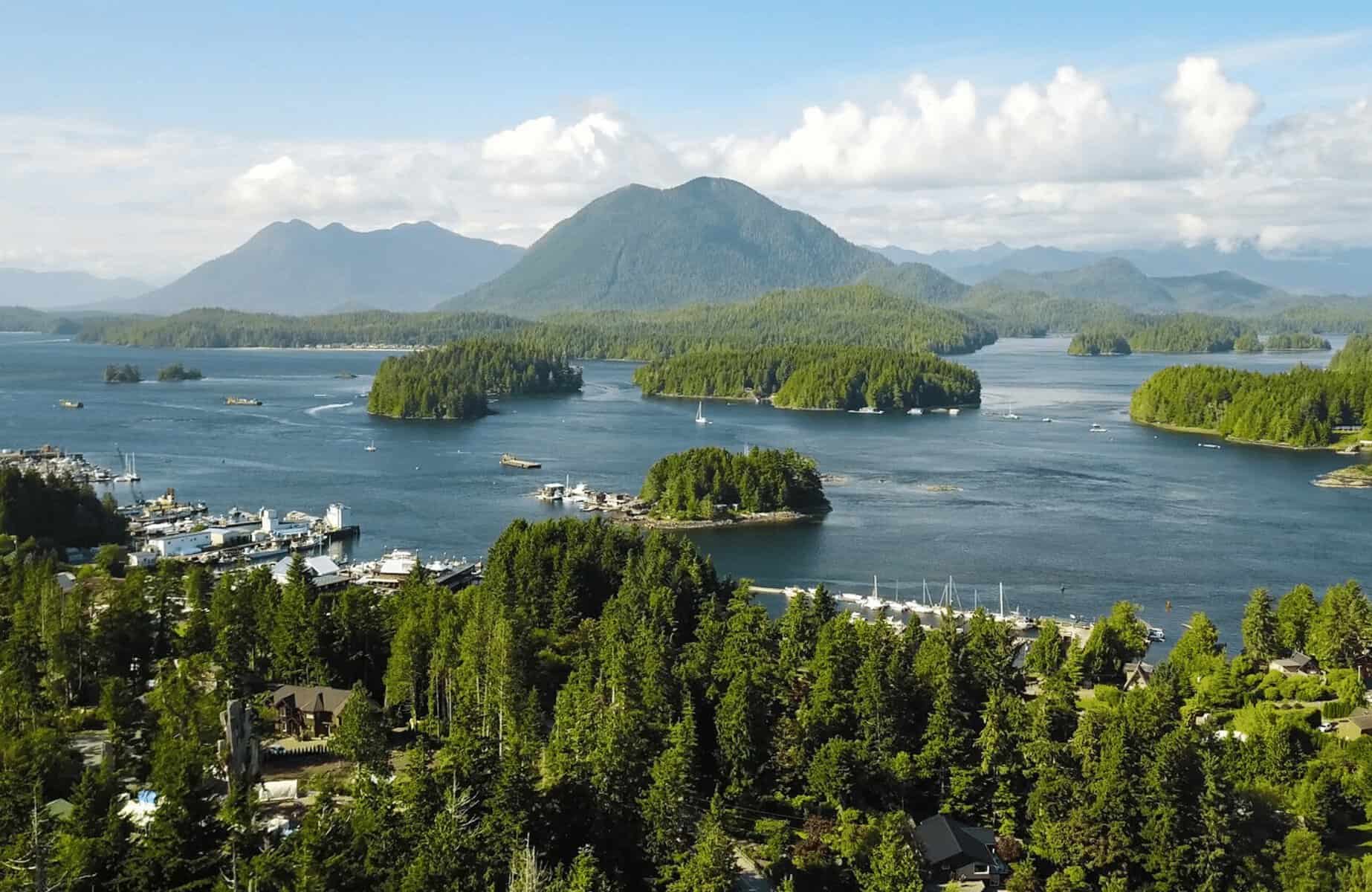 Amazing things to see in Tofino BC