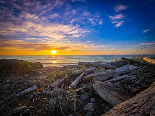 Joseph Whidbey State Park