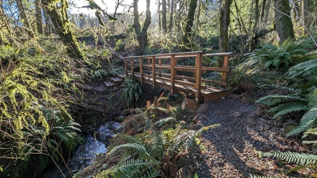 Miller Woods