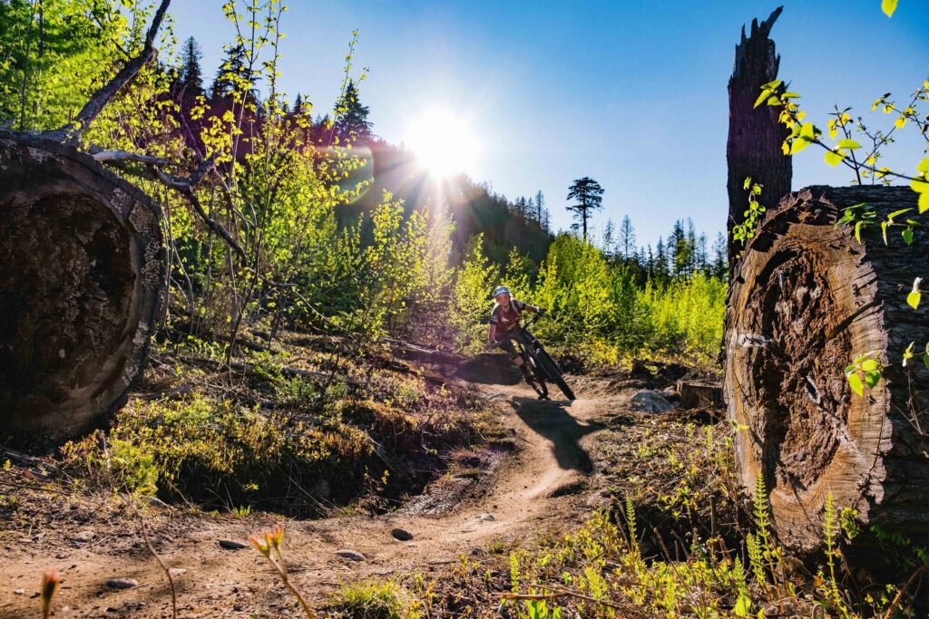 Mount Macpherson Mountain Biking
