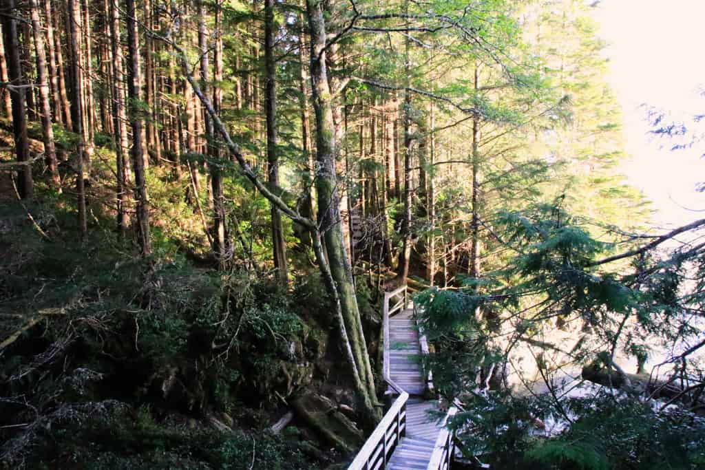 Tonquin Trail tofino