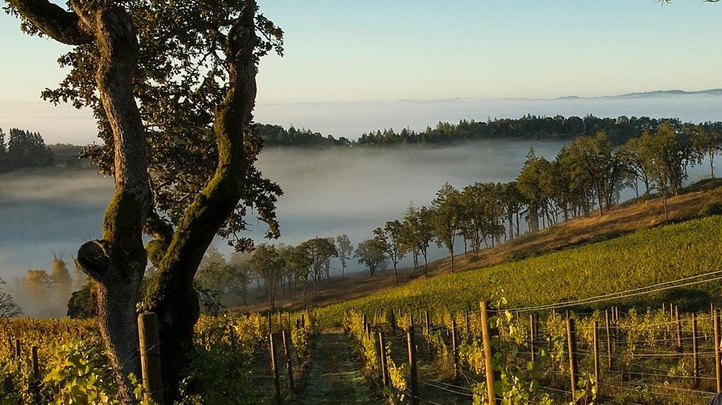 Things to do in Mcminnville
