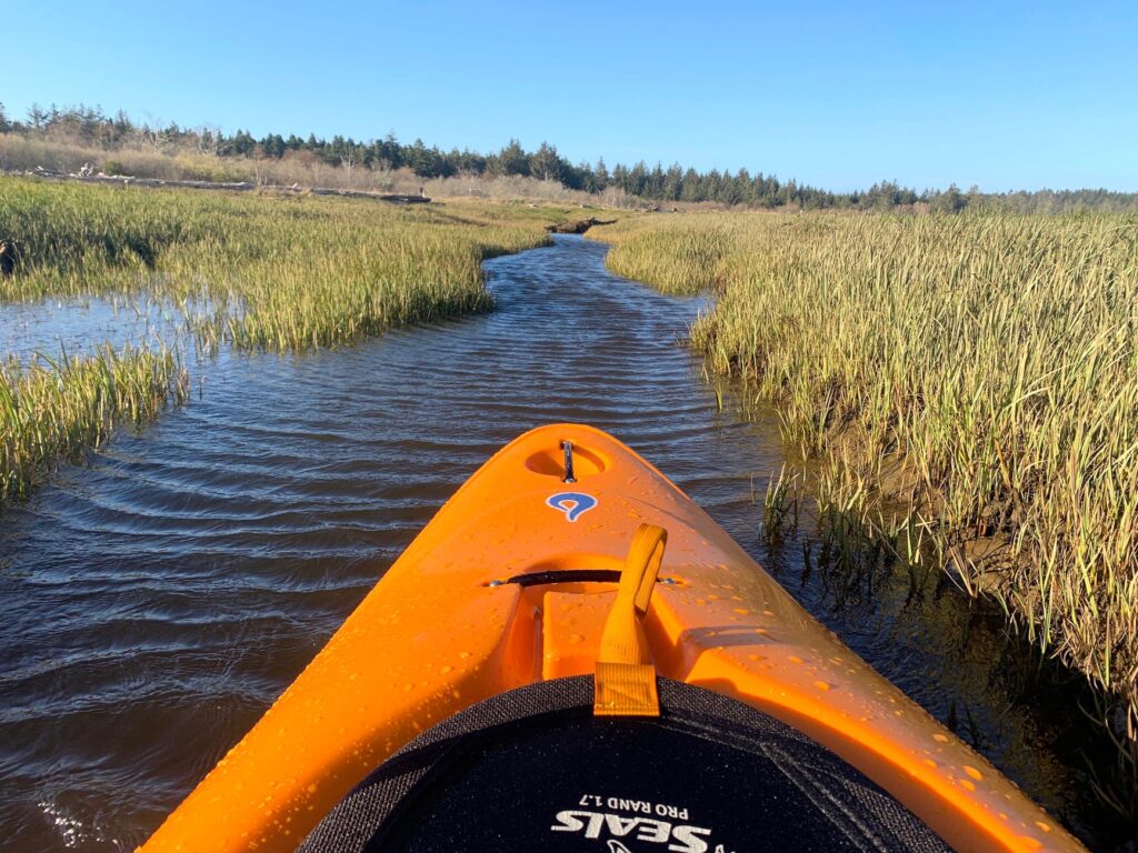 Bandon Marsh National Wildlife Refuge