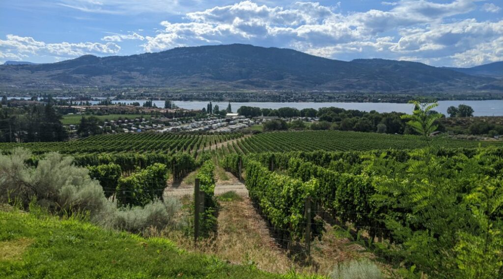 Wine tasting