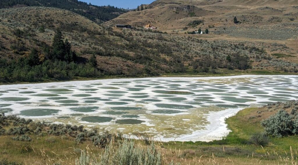 kłlilx'w (Spotted Lake)