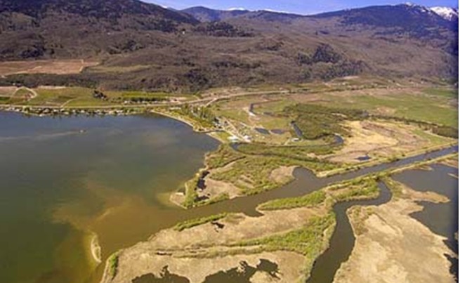 oxbows