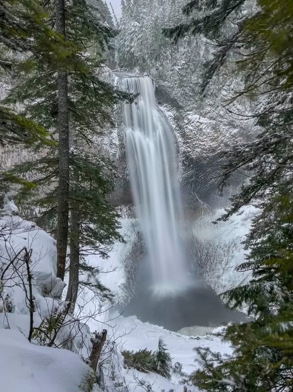 Salt Creek Falls plunging into a partially frozen canyon surrounded by snow-covered evergreen trees in Oregon