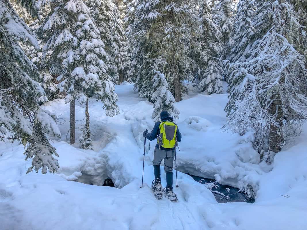 Winter adventurer snowshoeing through a forest of snow-covered trees in the Oregon Cascades
