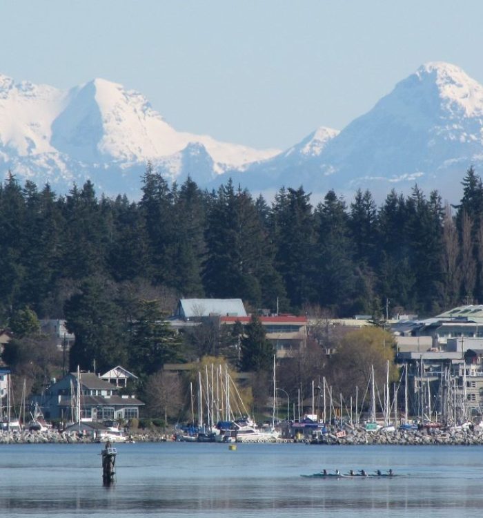 Uncover the Best Things to Do in Comox, BC