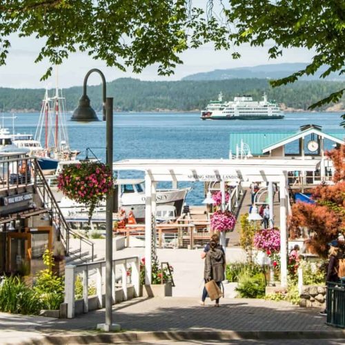 Things To Do In Friday Harbor, Washington: A Slow-Travel Guide