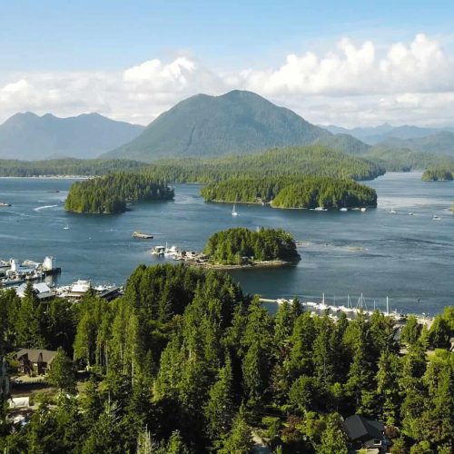 Amazing things to see in Tofino BC