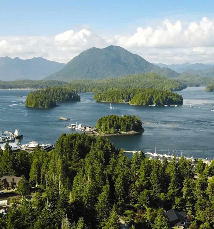 Amazing things to see in Tofino BC