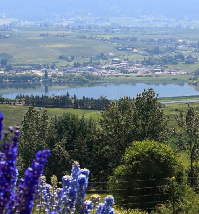 19 Fun Things to do in Vernon BC