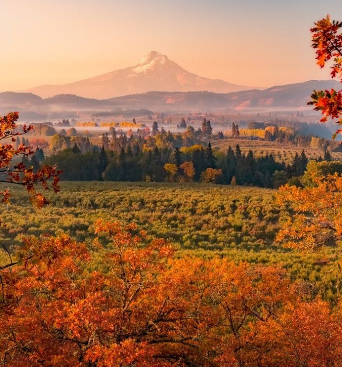 Ultimate Guide to Fall Foliage in Oregon State