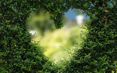 Romantic Pacific Northwest Getaways for Wine & Beer Lovers