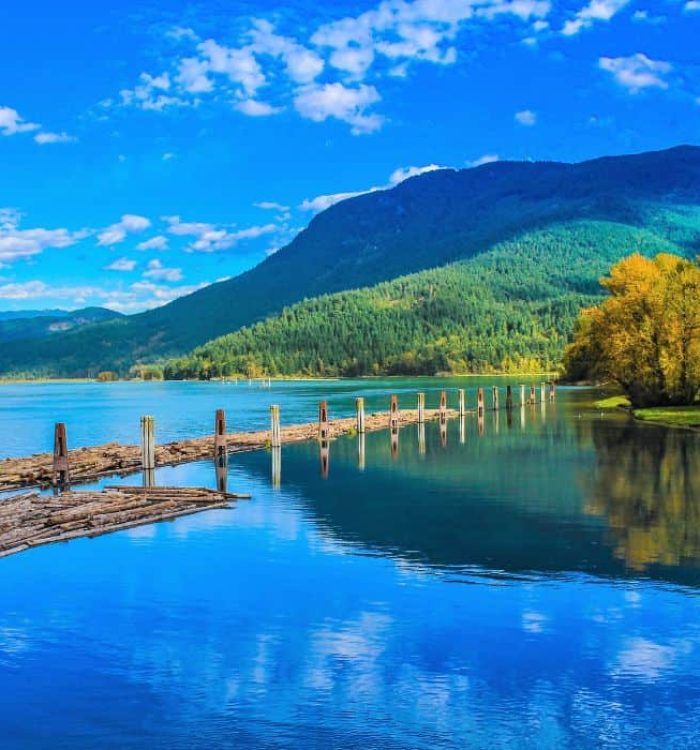 Discover Harrison River Valley: A PNW Getaway for All Seasons