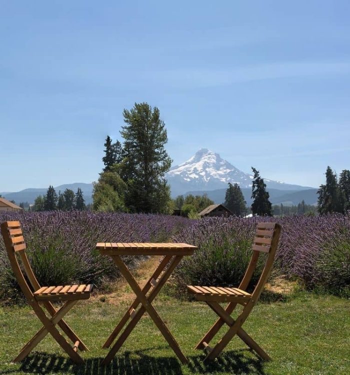 Top Hood River Wineries & Hood River Breweries
