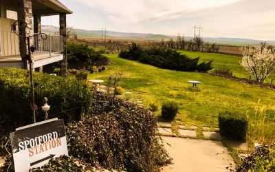 Spofford Station Vineyard~Home to a Pioneer Woman and Her Cabernet Cows