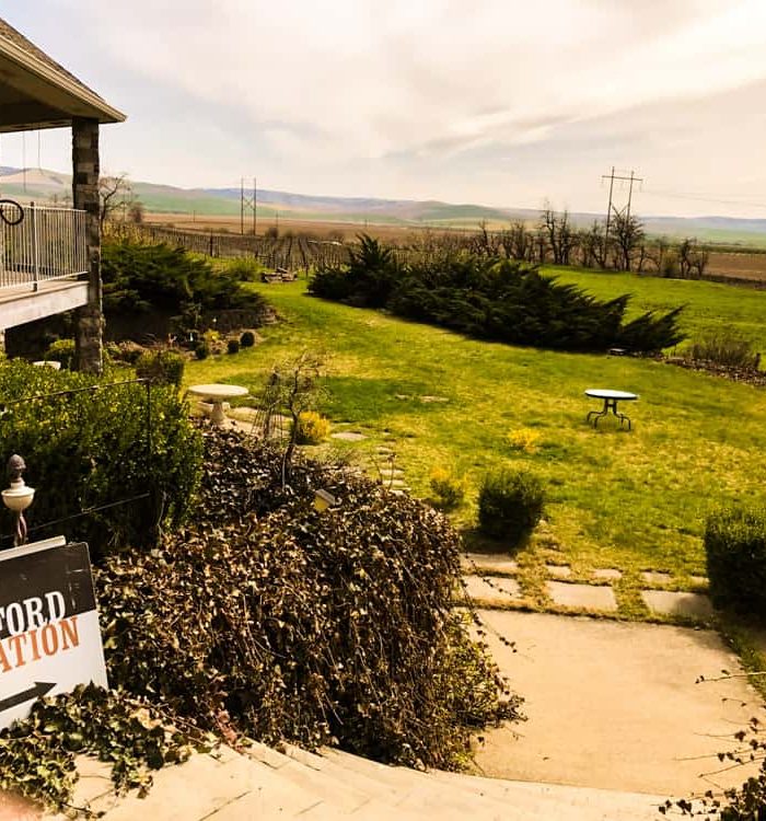 Spofford Station Vineyard~Home to a Pioneer Woman and Her Cabernet Cows