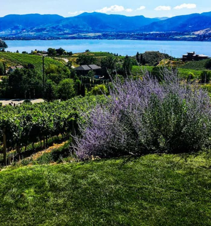 Top Things to do in Kelowna, British Columbia Wine Country