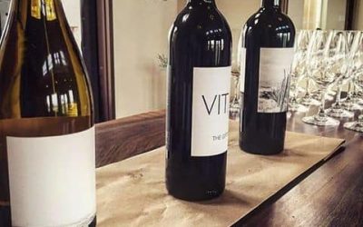 March Cellars and Vital Wines- A Tale Of Two Wineries