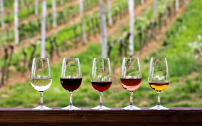 MJ Suggests:  Fifteen Fun Washington Wine Facts