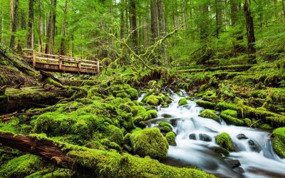 Olympic National Park Itinerary