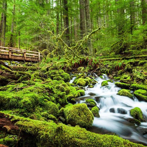 Olympic National Park Itinerary
