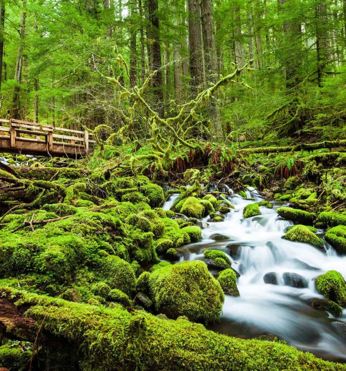 Olympic National Park Itinerary