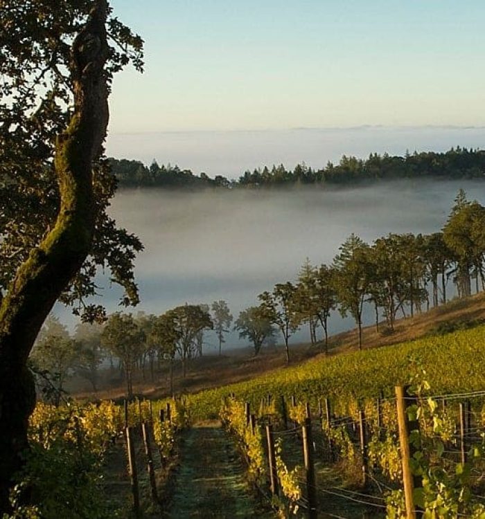 Things to do in Mcminnville