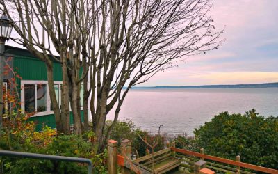 MJ Suggests:  Wine Tasting Langley, Washington